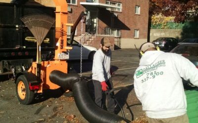 Spring Cleanup Scituate MA