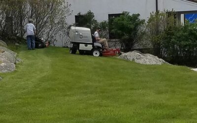 The grass is always greener with Gallagher Landscaping #nofilterneeded