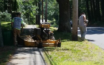 What do landscapers do after 2 days of rain #mowing,mowing,mowing