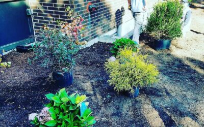 Fall planting season is in full swing