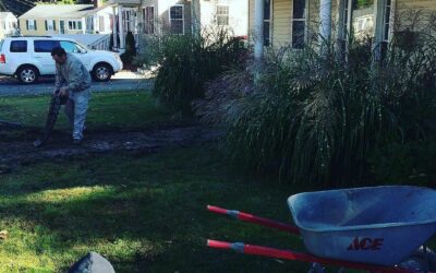 The start of our latest front yard makeover.