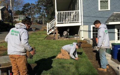 Our latest Sod Installation.