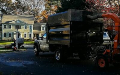 The leaves are finally falling and We’re out in full force cleaning them up