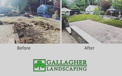 Sitting wall, patio, and new lawn