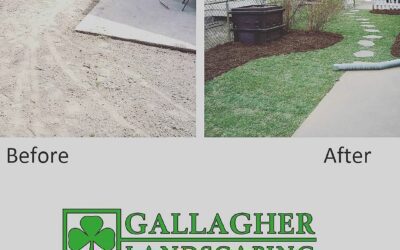 That storm missed us ans spring is on its way. We can’t wait to get some grass growing