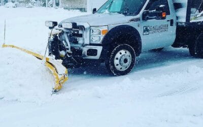 That was a nice March storm. Looks like maybe one more and we can get started with spring