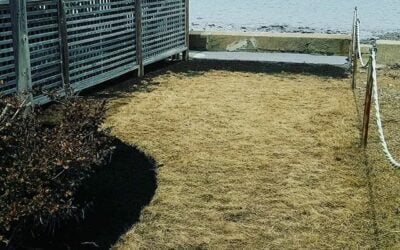 We’re out repairing some flood damage in between storm. Can’t wait for spring!