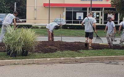 We’re wrapping up a plant replacement and irrigation job at a commercial site in Hingham.