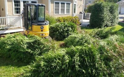 This job illustrates how important plant selection is. These arbs had grown into and over the porch.