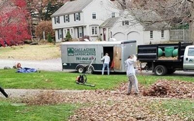 We’re well into leaf season. We’re out between our daily rain storms trying to get some clean ups do