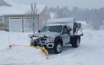 Are these days over? It doesn’t feel like winter today