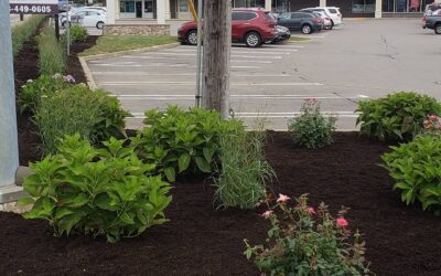 Planting season is on the horizon. Its not too early to begin planning your spring project.