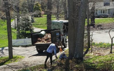 The sun’s out for a few minutes, time to sqeeze in some clean ups