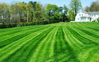 May is also for mowing