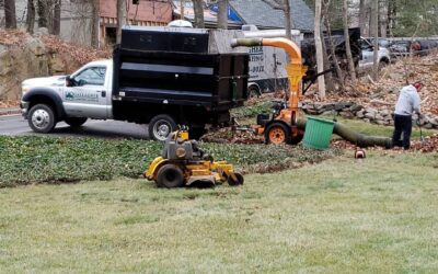 Thanks to the early snow fall, we’ll be ringing in the new year with leaf cleanups