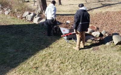 Out clearing some fallen limbs and brush. The lack of snow has us looking for winter landscaping job