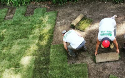 Fall is a great time to install sod. Its been a tough summer for grass, give us a call if yours need