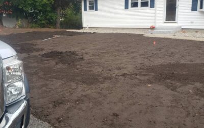 It’s not too late to remove a damaged lawn and add fresh loam & seed to grow grass this year