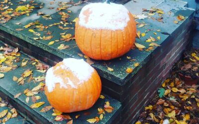 Happy Halloween. Stay safe out there today