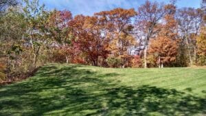 | landscaping boston braintree weymouth hingham ma