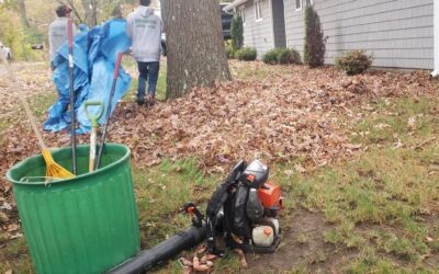 Great day for picking up leaves. We’ve still got a few spots open in our schedule, give us a call