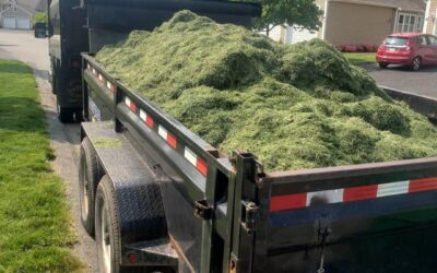 The grass sure is growing. This is just one mowing crew’s haul for today.