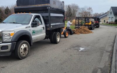 We’re out picking up snow covered leaves. ‘Tis the season
