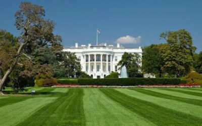 Happy President’s Day. Every American deserves a nice lawn!