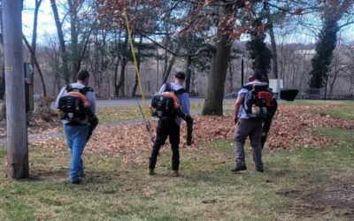 Its back above freezing so we’re back to doing clean ups. Landscaping in New England at its finest.