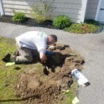 | landscaping boston braintree weymouth hingham ma
