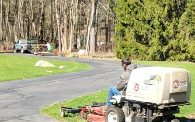 Monday Morning Mowing