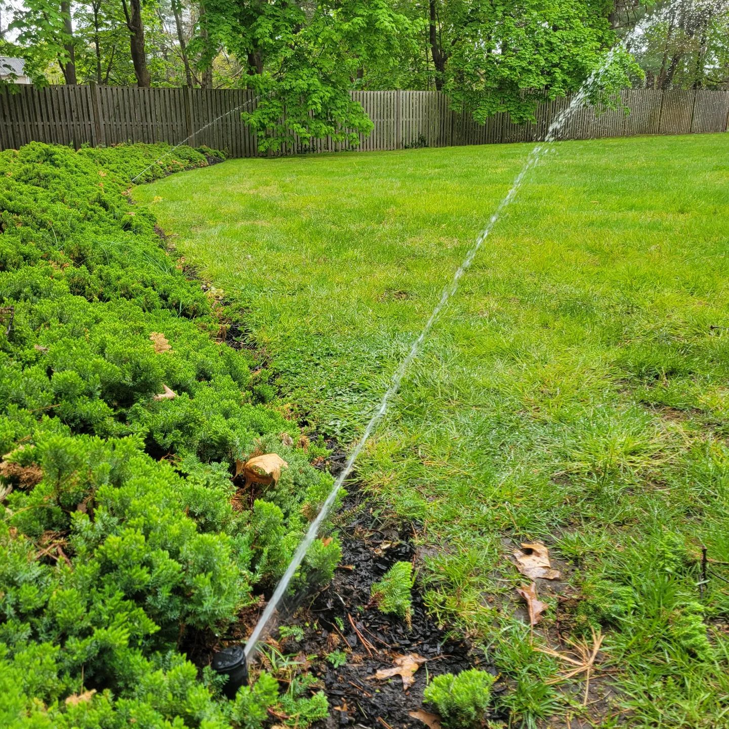 Irrigation-service-near-me-irrigation-repair-irrigation-contractor
