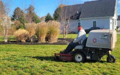 Today we were out picking leaves up & cutting grasses down.