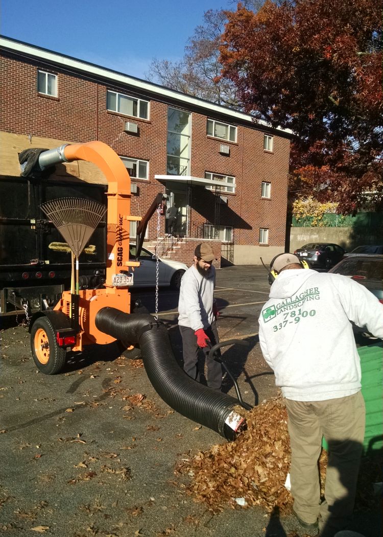 Fall cleanup | landscaping boston braintree weymouth hingham ma