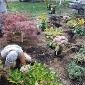 Planting services braintree ma | landscaping boston braintree weymouth hingham ma
