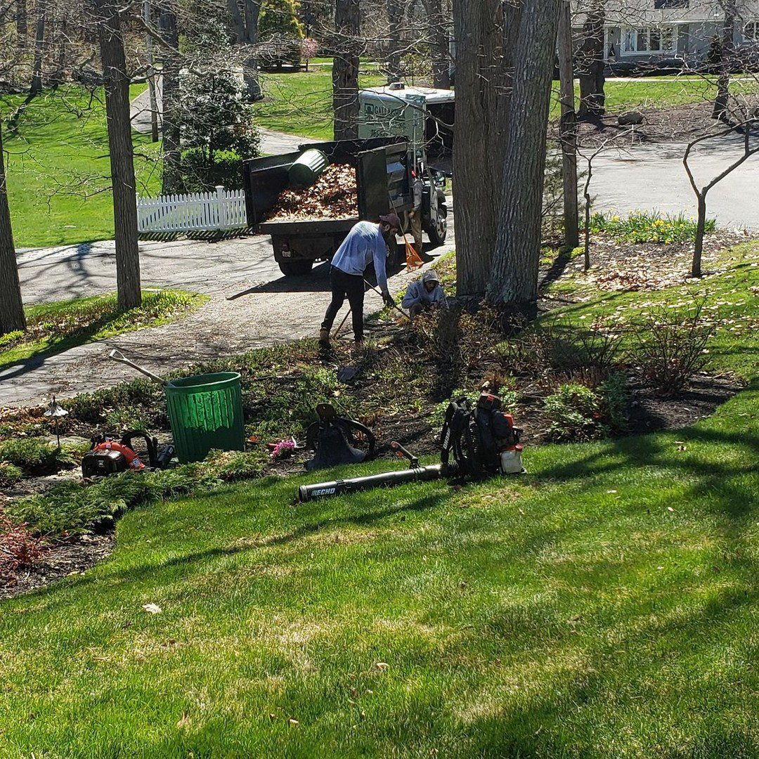 Spring lawn care cleanup | landscaping boston braintree weymouth hingham ma