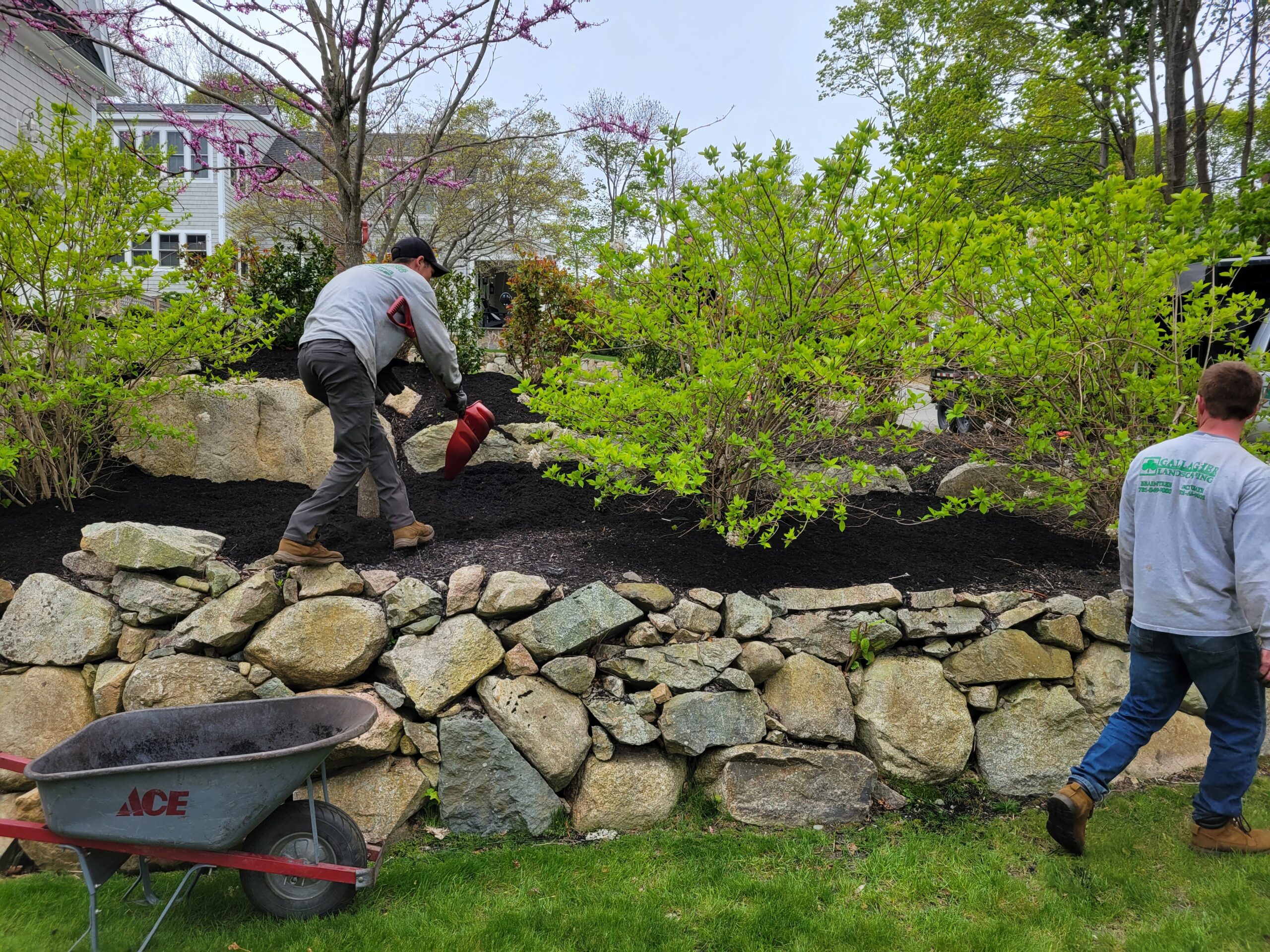 Mulching-cohasset-landscaper-for-mulch-installation-cohasset-scituate | landscaping boston braintree weymouth hingham ma