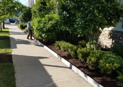 Granite-edging-weymouth-landscaper-gallagher-landscaing-weymouth