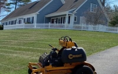 Who mows lawns near me?