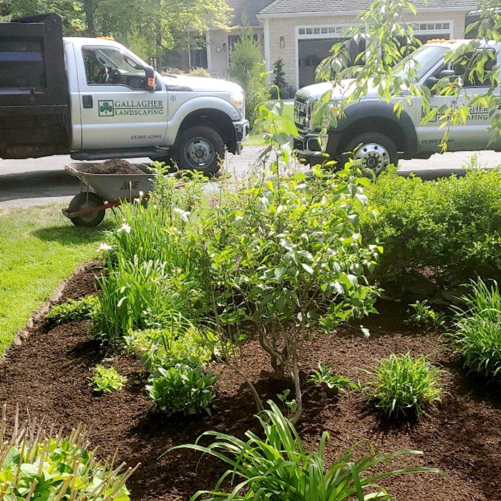 Landscaper-scituate-gallagher-landscaping-edging-and-mulching | landscaping boston braintree weymouth hingham ma