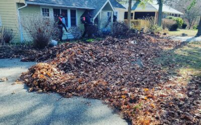 Got Leaves? Now is the time to get them off your lawn to wake your grass up for the spring.
