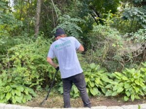 Fall cleanup scituate  | landscaping boston braintree weymouth hingham ma