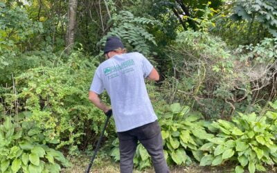 Our crews are out doing garden cleanups before the leaves start to fall