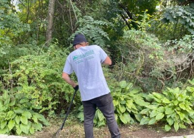 Fall cleanup scituate