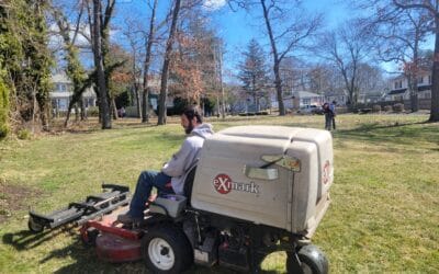 Spring is the perfect time for a clean up and to start landscape services